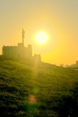 荒川河原から土手上の黄色い夕日
