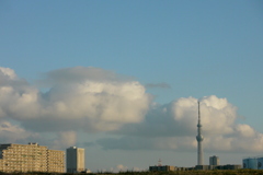 ワンドのスカイツリーと大きな積雲