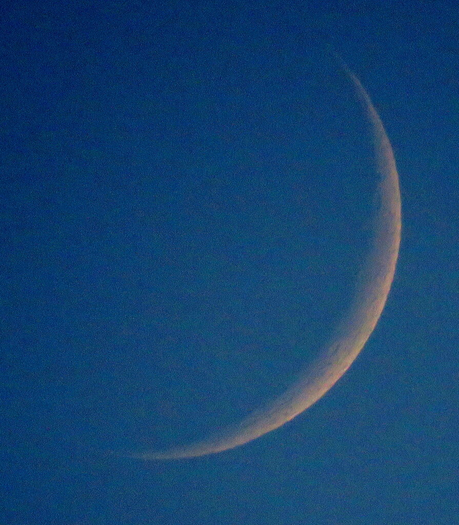 月齢2.7