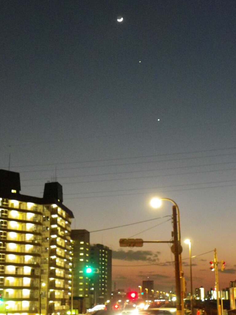 月ガイトウ星