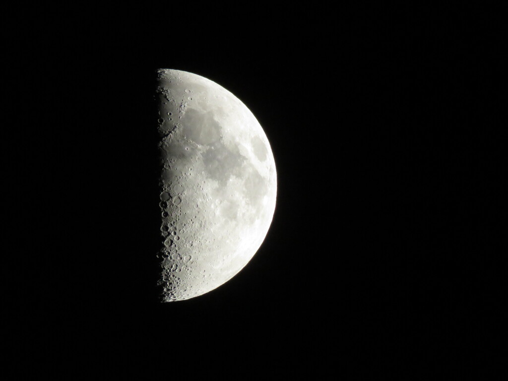 '21.7.17.19:46.の上弦の月