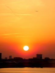 上空に向かう夕日のホヤ