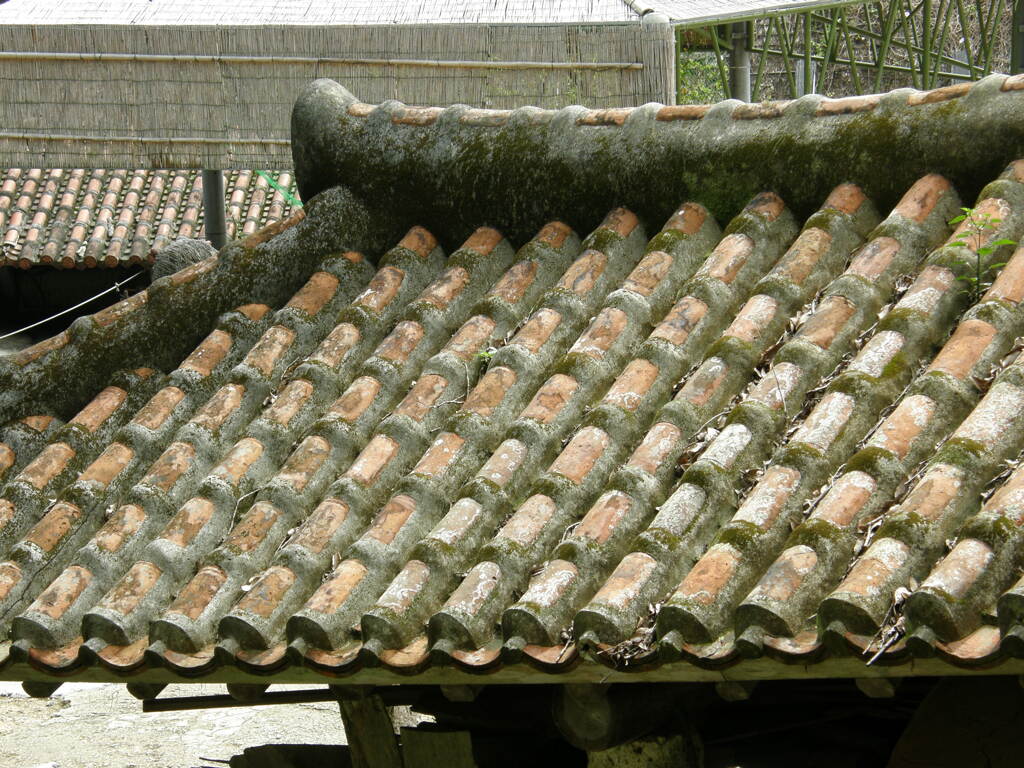 琉球の雰囲気を醸し出す屋根
