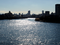 隅田川は千住桜木公園あたりから蛇行して家康作の千住大橋へ