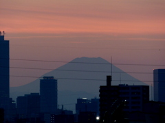 久しぶりの富士山が