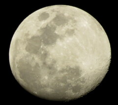 軒下から月齢11.8