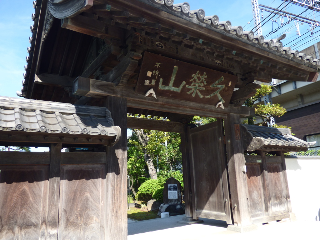 旧街道沿いの水戸黄門槍掛けの松のお寺