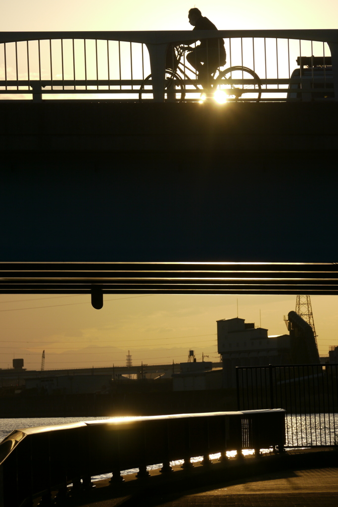 尾竹橋の夕日