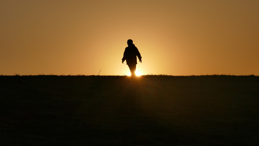 荒川土手の遊歩