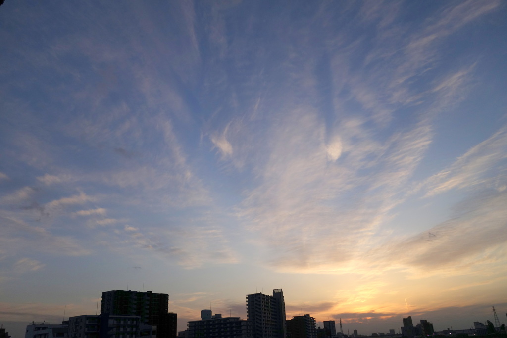 隅田川の西の空