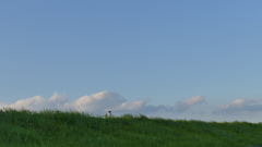 晴れ間の土手の雲
