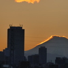 荒川から富士と蛭ヶ岳頂の光る雲