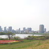都市農業公園下の河原から
