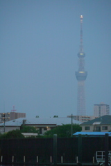 水面すれすれの隅田川テラスからの夕暮れの東京スカイツリー