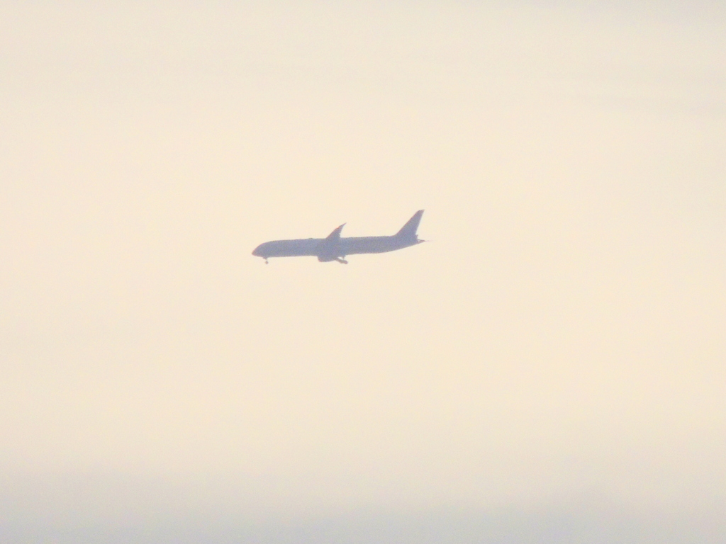 大田区羽田に西の夕空低く飛ぶ