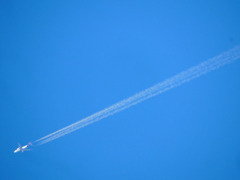 冬の青空