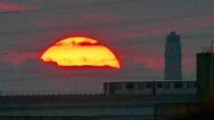 隅田川の上を走る舎人ライナーの夕日