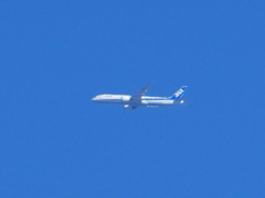 青空をANA機