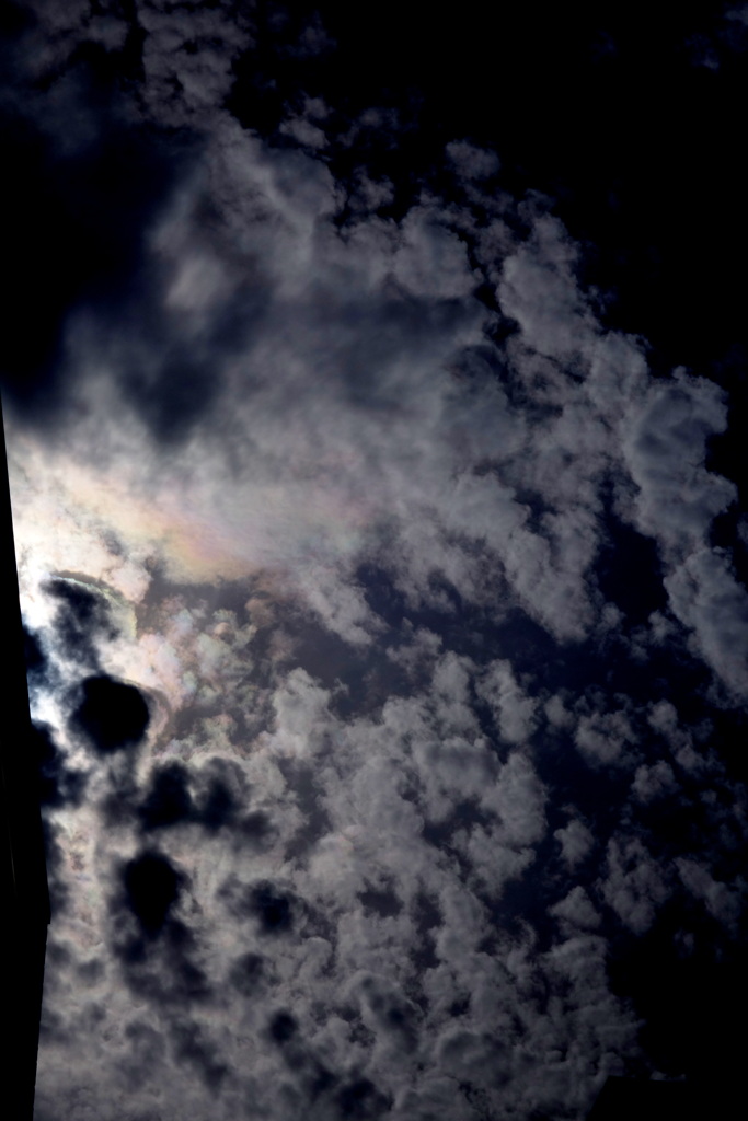 網状雲の彩雲