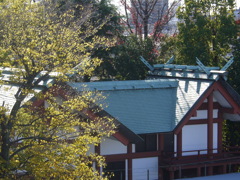 上から見下ろしては気が引けるが千住大川町氷川神社