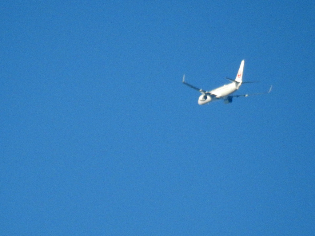 荒川土手からの青空のJAL機