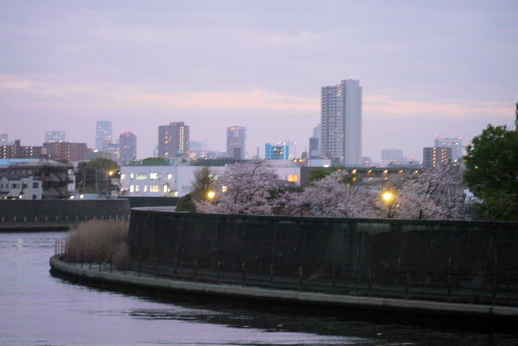夕方の墨田川上野方向