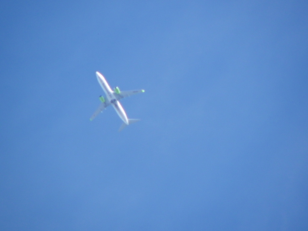 千住桜木ワンドからエンジンが黄緑の飛行機