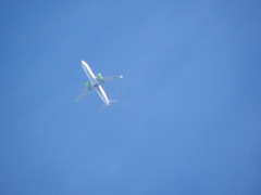 千住桜木ワンドからエンジンが黄緑の飛行機