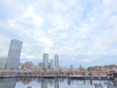 春の不忍池の風景