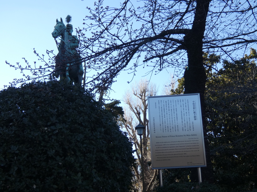 桜のコマツオトメの馬上の小松宮彰仁親王像