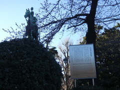 桜のコマツオトメの馬上の小松宮彰仁親王像