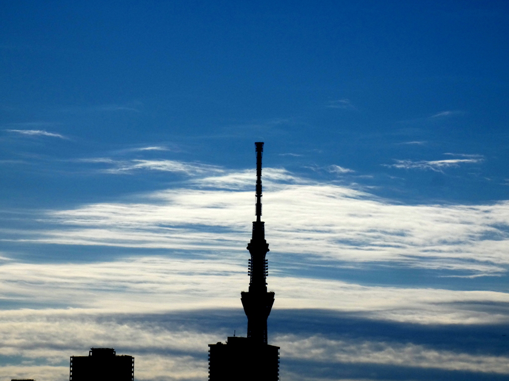 ’22新春の荒川土手から白雲バックの東京スカイツリーのシルエット
