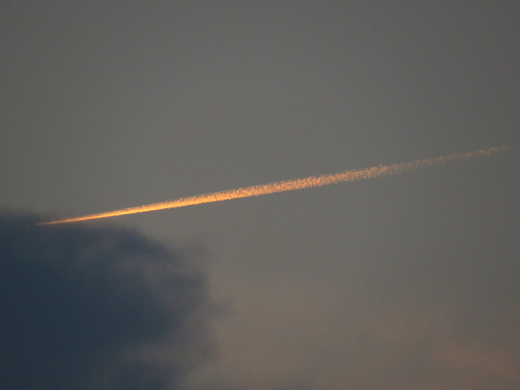 夕日の上に