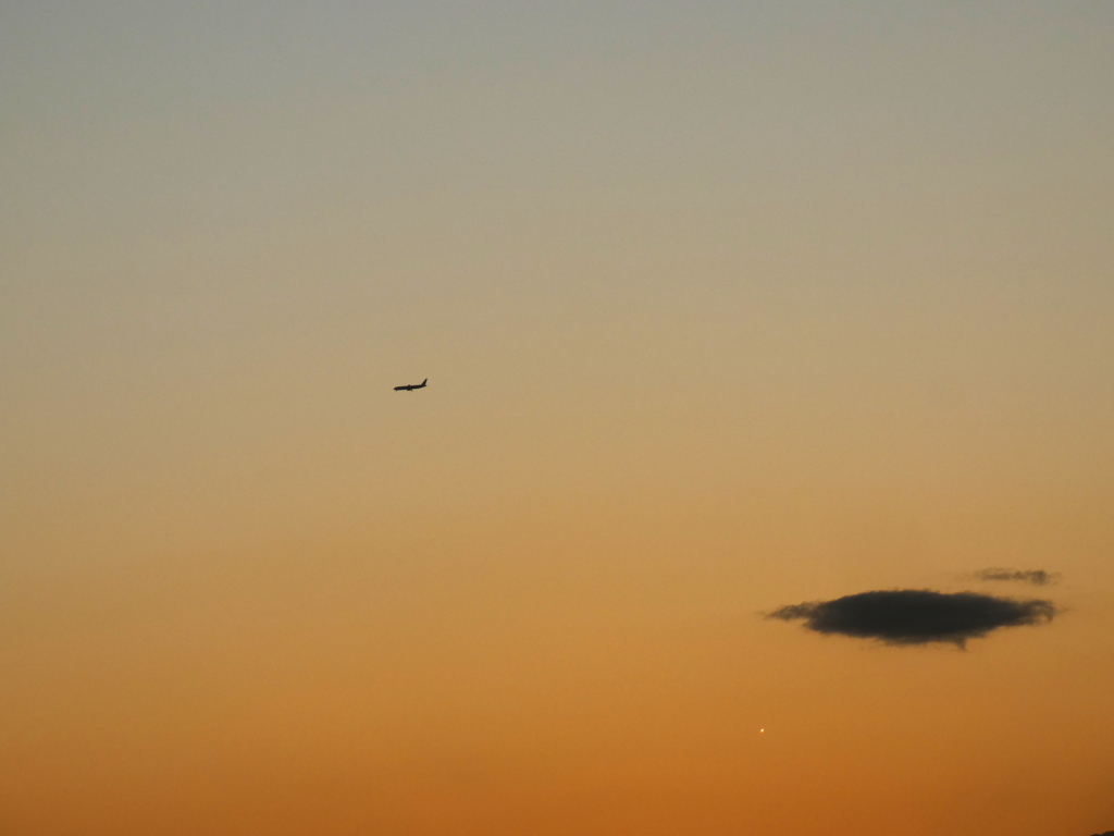 夕方の航空機とUFO雲