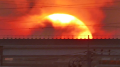 架線の上に