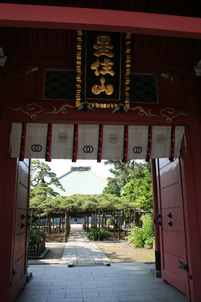江戸川区’影向の松’の善養寺