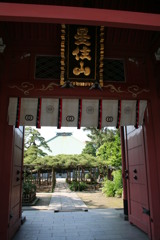 江戸川区’影向の松’の善養寺