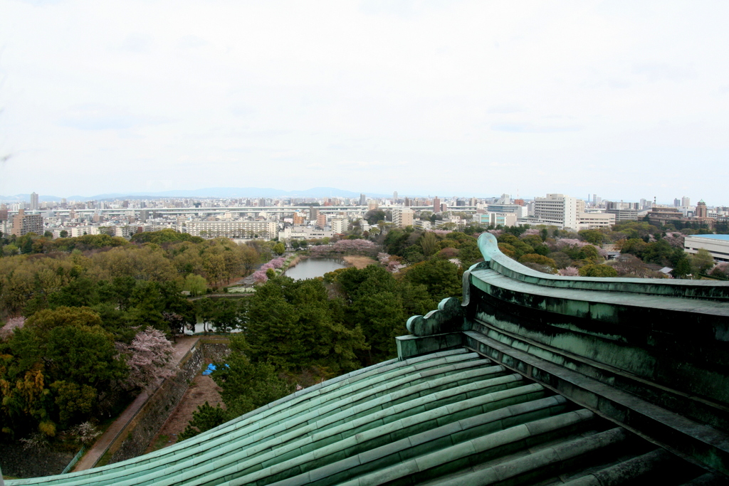 名古屋城の天主からの眺め１１