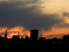 西新井橋から西の風景