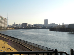 隅田川土手からスカイツリーが左に見える隅田川の風景