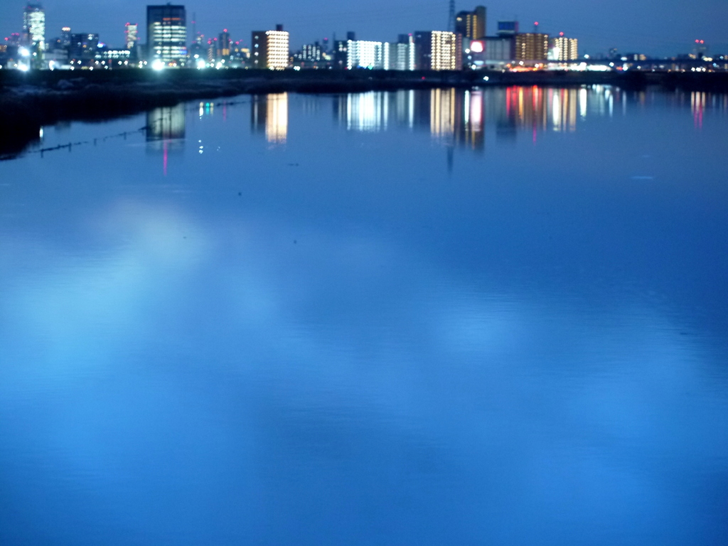 ISO800の荒川の夜景