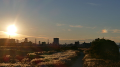今日も出た