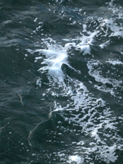 荒れた荒川の橋柱に充てった波の白い泡