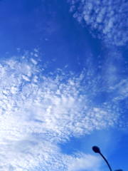 空の青と巻積雲