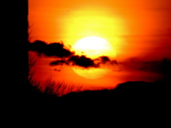 池袋のタワービル右の夕日
