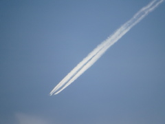尾竹橋から隅田川上空の飛行機雲