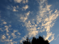 隅田川上空