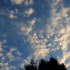 隅田川上空