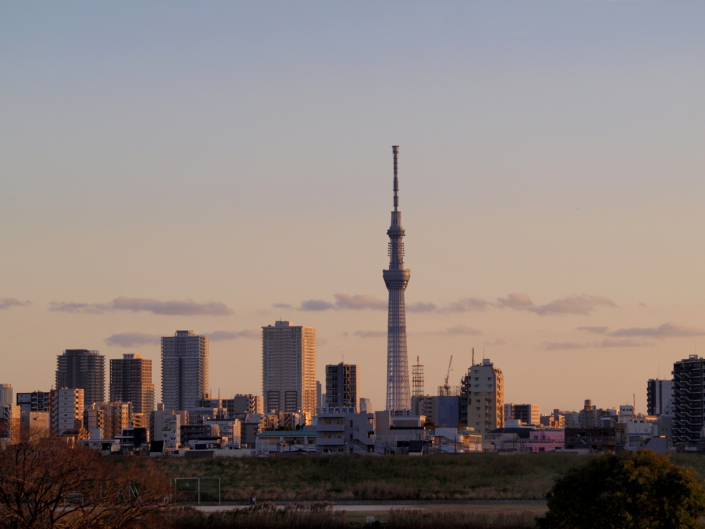 夕日を受ける川向うに見える東京スカイツリー周辺
