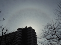 ’23新年の向島の団地のビルの上の光環